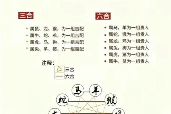 生肖配对猴和鸡相配吗