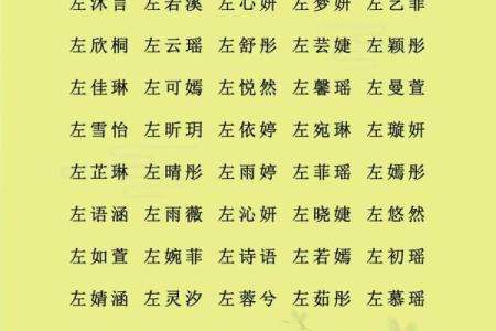 八字喜水女宝宝取名