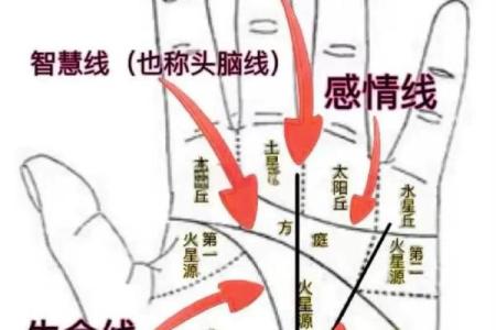 《手相学习百科》：手纹的成长与改变