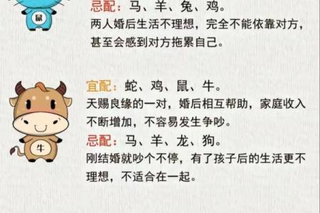 85年属什么的生肖 85年属什么的生肖配对