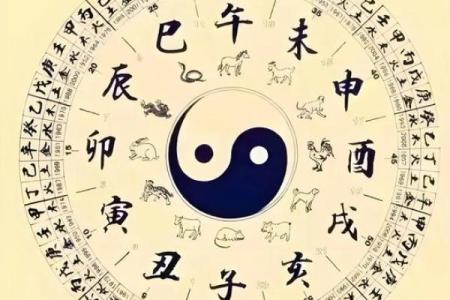八字设计