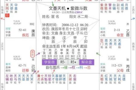 紫微斗数陀罗在命宫的重要性及解读