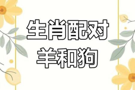 属狗巨蟹座男与属猪双鱼女配对合适吗