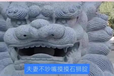 风水中狮子_用什么能压制石狮子
