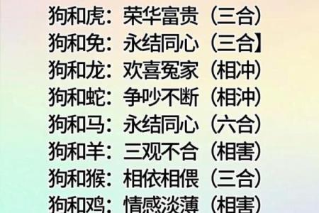 85年属什么的生肖性格 85年属什么的生肖配对兔