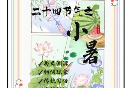 小暑的诗 小暑的主要节气民俗