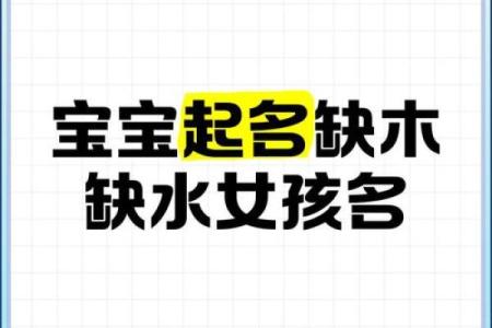 女孩缺木取名大全文雅,八字看下半年运势