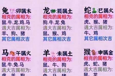 十二生肖姻缘配对生肖配对查询 十二生肖姻缘配对,12属相婚配表？