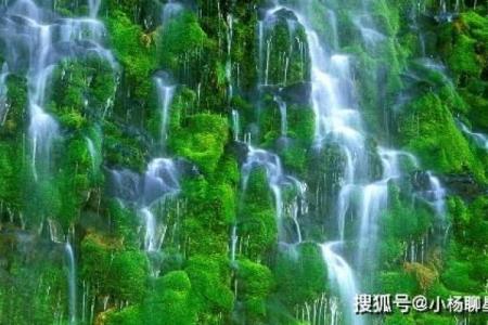 风水二八佳人是什么生肖最恰当