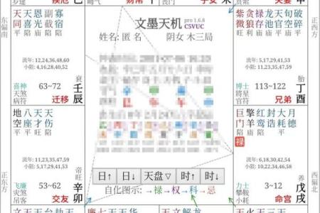紫薇斗数 四化盘怎么看