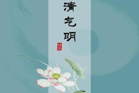 手机号风水查询