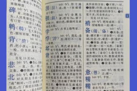 “精字典”：一本收录千万精彩含义的百科全书