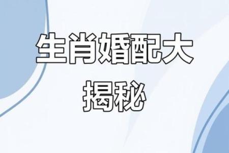 12生肖配对姻缘猪与虎 十二生肖猪和虎合不合？