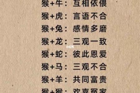生肖配对猴和鸡相配吗