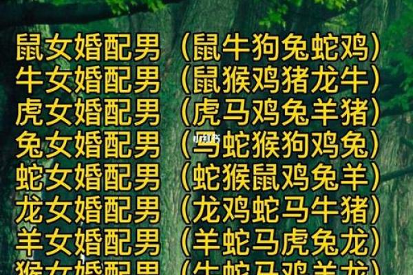 十二生肖最佳婚姻配对