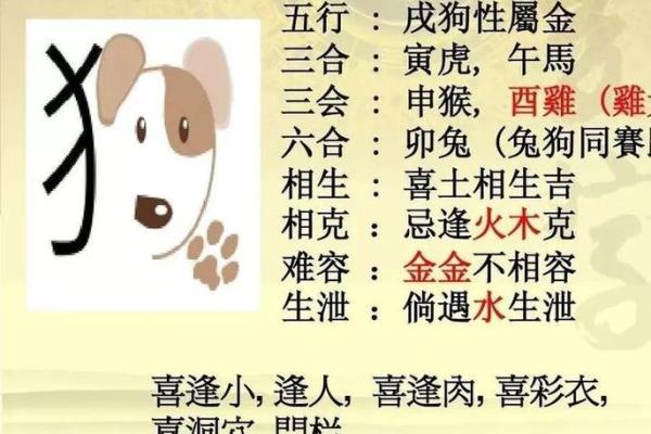 属龙和属狗适合做夫妻吗 配对有什么缺点