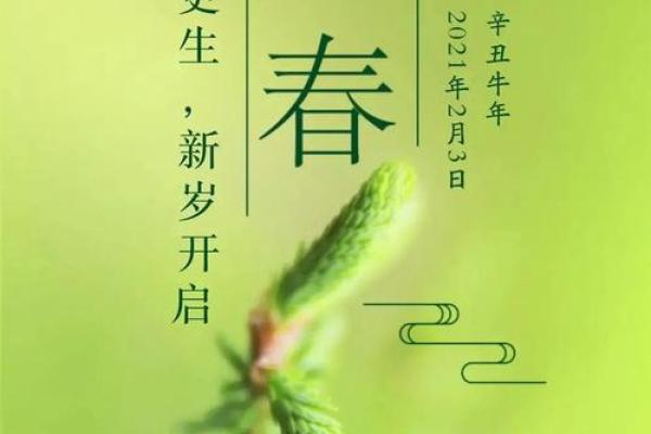 立春的民俗活动 立春的别称是哪些