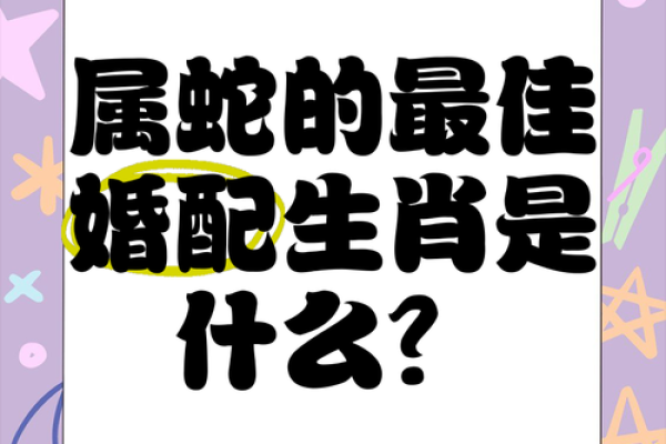 属猴的和属蛇的配对是否合适