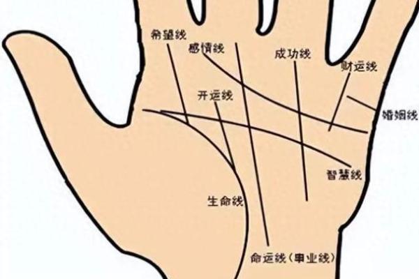 《手相学习百科》：掌脊纹