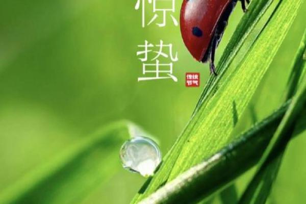 惊蛰节气的养生知识 惊蛰节气的民俗民风有哪些