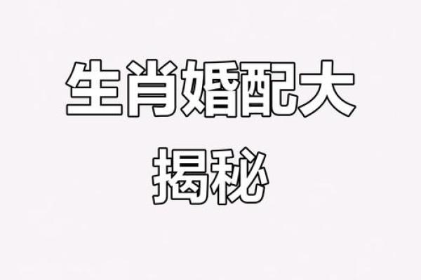 家破人亡的生肖配对在一起