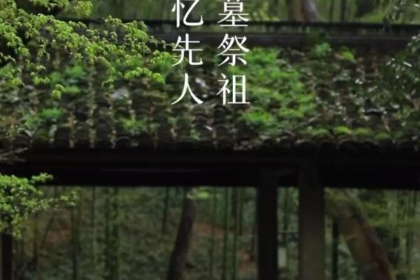 清明节前一天是什么节日 清明节又叫什么节-