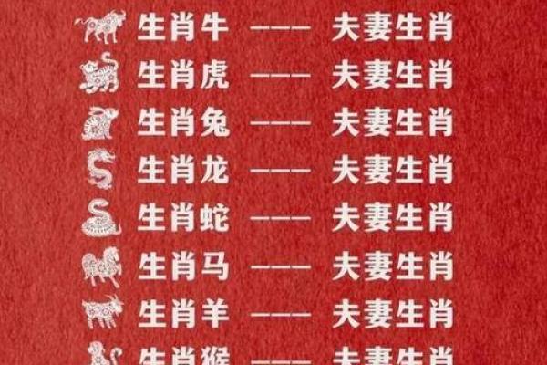 婚姻属相配对