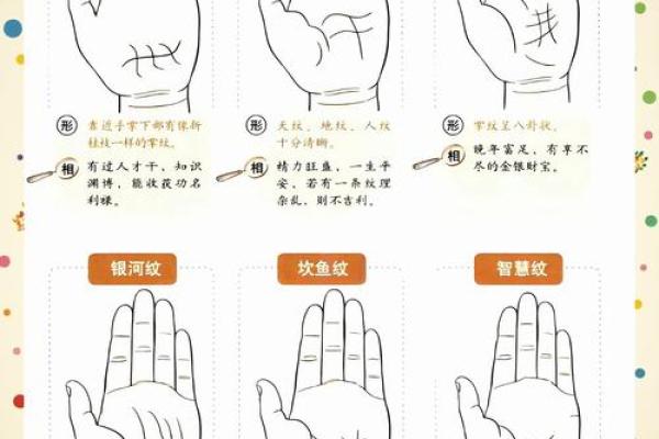 《手相学习百科》：指纹