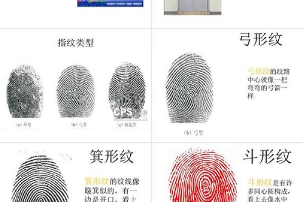 《手相学习百科》：指纹