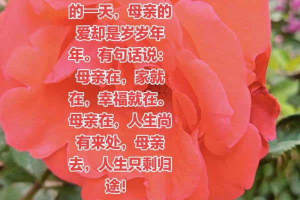 母亲节是传统节日吗 母亲节是国外还是国内的