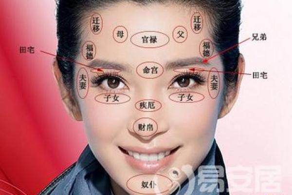 六害眉面相算命图解