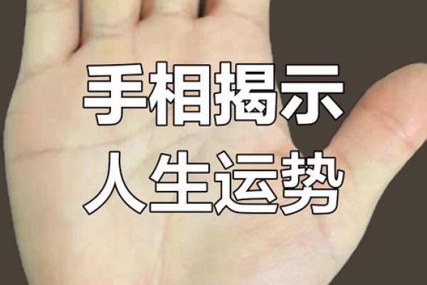 《手相学习百科》：命运线