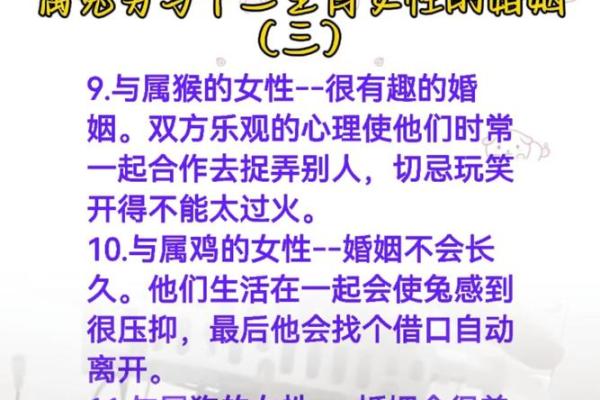 生肖属兔合婚须知，属兔配对需要注意的问题！