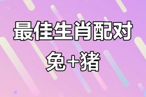 生肖兔和兔的配对是否适合