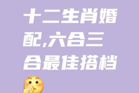 1999年属什么生肖配对