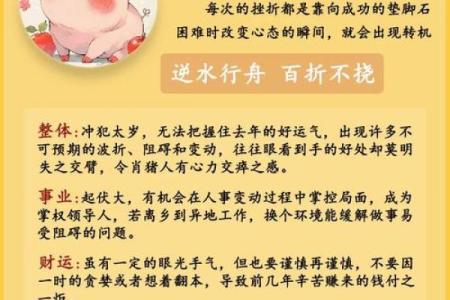 属猪和什么属相最配对 属猪和什么属相相冲