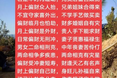 八字偏强偏财格局男命好吗