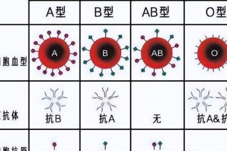 四种血型最丑陋的特质