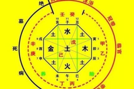 紫薇星生辰八字查询