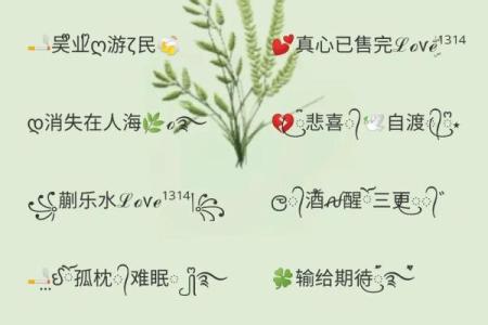 网名八字