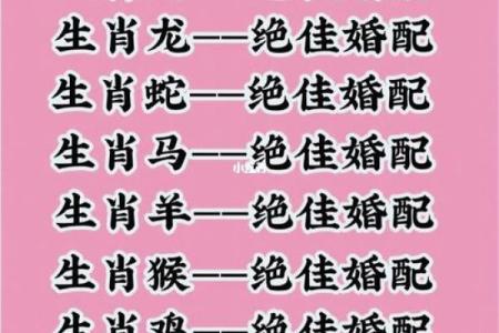 姓名配对姻缘911