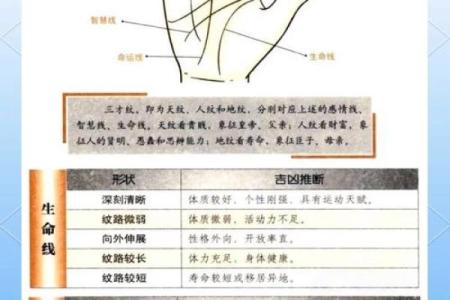 《手相学习百科》：认识双手