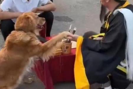 道士拿什么东西算命更好