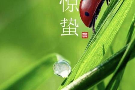 惊蛰节气的养生知识 惊蛰节气的民俗民风有哪些