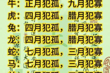 算命四不算