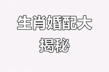 家破人亡的生肖配对在一起