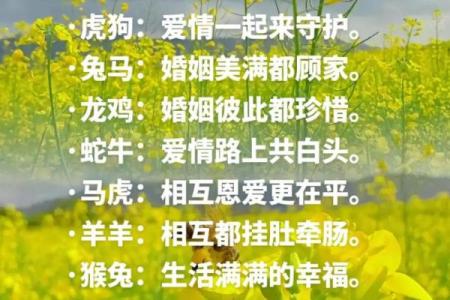 老鼠和什么属相最配对 老鼠和哪个属相最佳配对