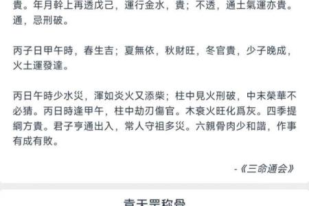 鸟算命揭秘