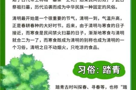 清明节前一天是什么节日 清明节又叫什么节-