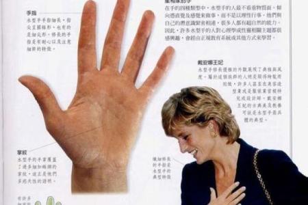 《手相学习百科》：指尖与指节